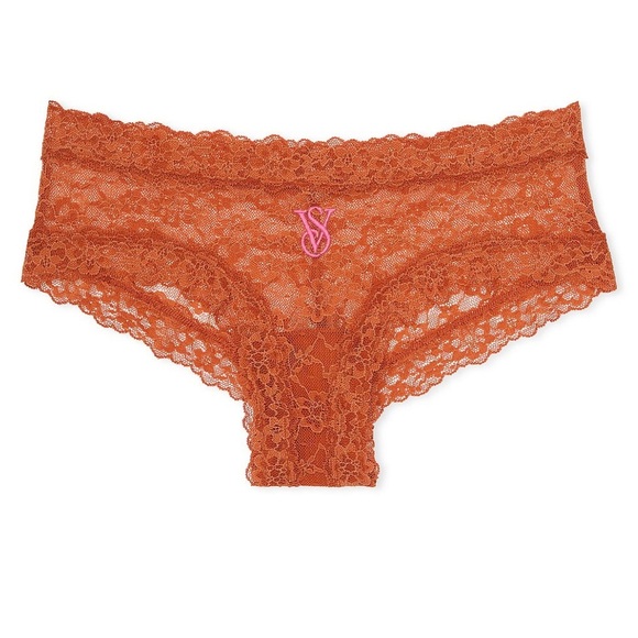 Victoria’s Secret Lace Cheeky Panty October Tourmaline NWT Size M - Picture 1 of 3